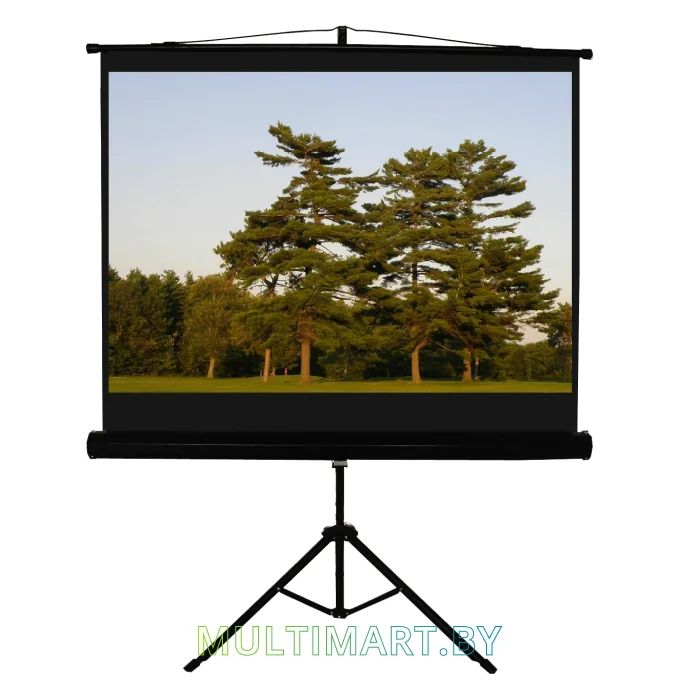 Проекционный экран Classic Solution Gemini 203X203